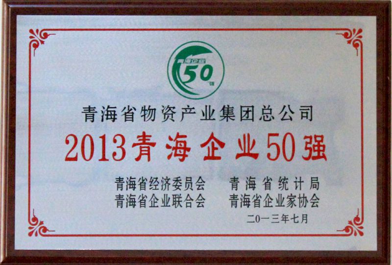 2013年青海企业50强