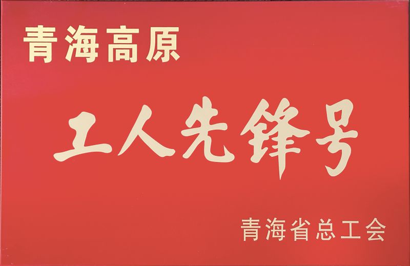 物产工投公司电解二车间被命名青海高原“工人先锋号”