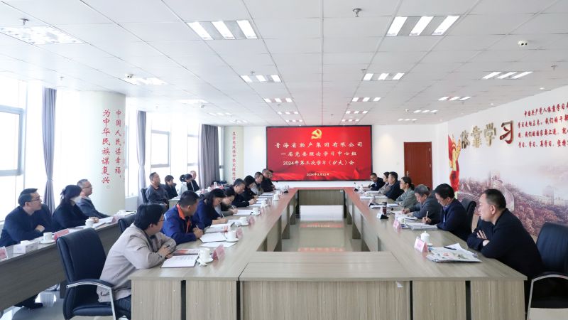 省物产集团党委召开2024年度理论学习中心组第三次学习（扩大）会