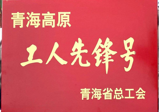 青海朝阳机电交易市场有限公司市场管理部荣获青海高原“工人先锋号”称号